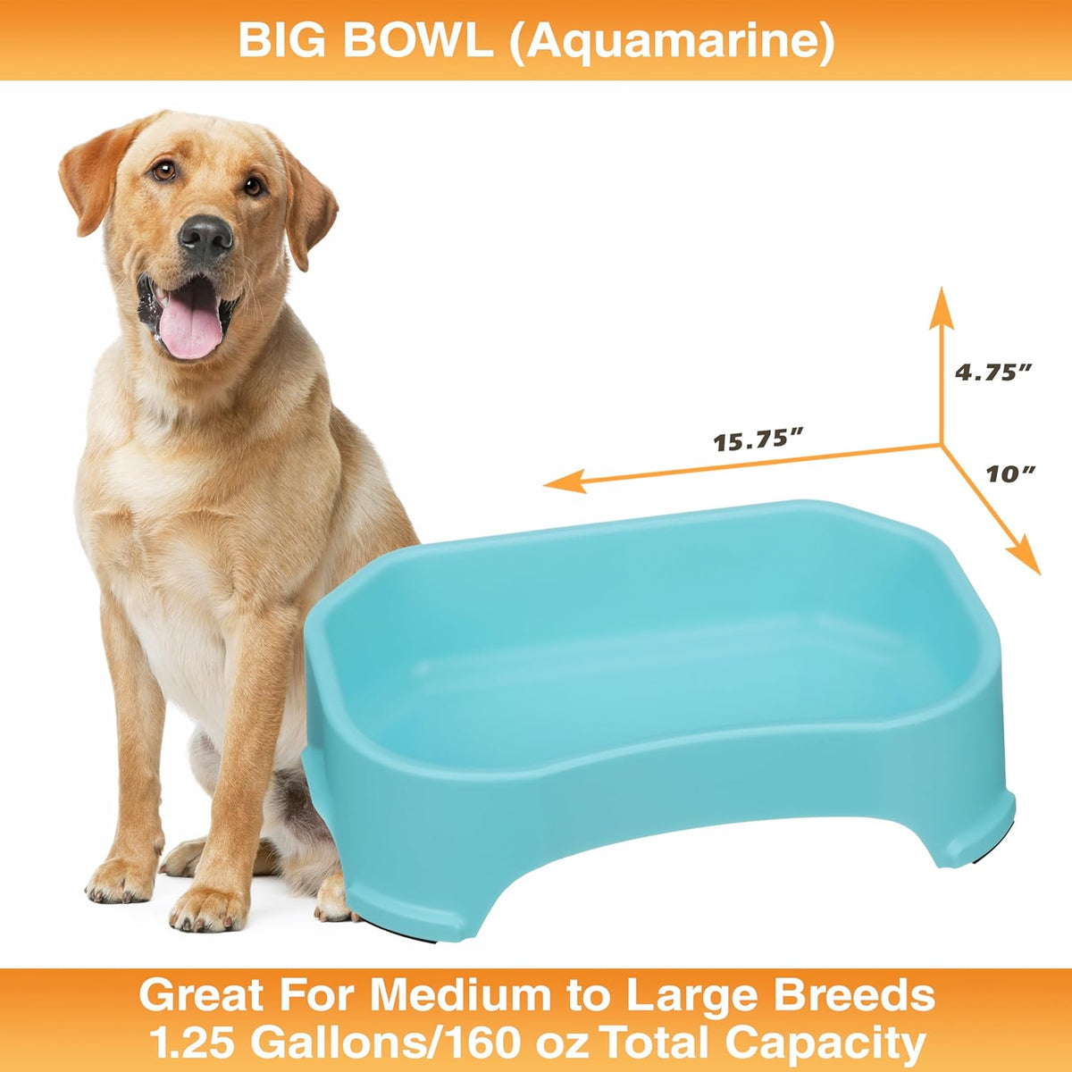 Neater Pet Brands Big Bowl – Cuenco de agua extragrande para perros (c...